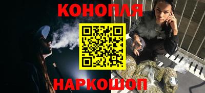 прущие крисы Камышлов