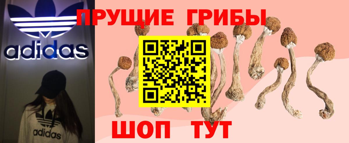 Галлюциногенные грибы Cubensis  Вход с VPN  Лангепас  Псилоцибиновые грибы Psilocybine cubensis 